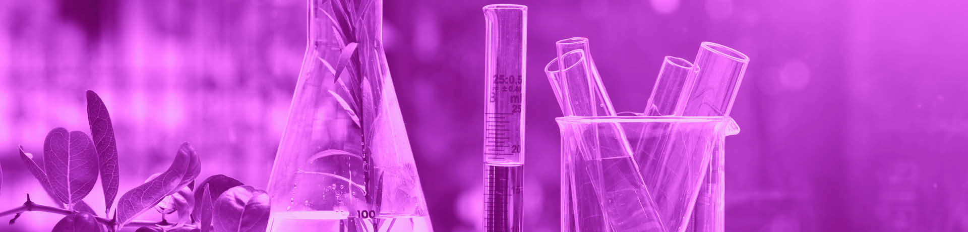 החוג למדעי הטבע